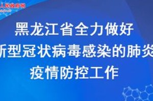 指尖上的抗疫堡垒，黑龙江省新冠疫情防控指挥部官网如何成为公众的定心丸