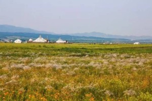 呼和浩特，草原青城的战疫与韧性