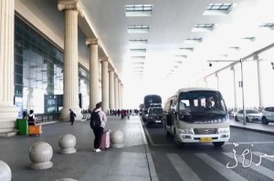 黑龙江省疫情最新动态与防控措施详解