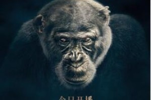 疫情通报黑龙江省，边境防线上的坚守与合肥最新消息，精准防控下的城市脉动