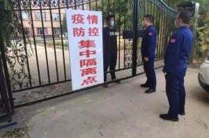 黑龙江省疫情公告汇总，精准防控下的数据透视与趋势解读