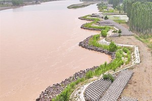 银川战疫，黄河岸边的坚韧与温度