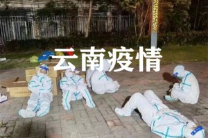 广州云南疫情，两场闪电战，一个共同答案