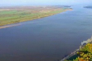 黑龙江省疫情管理公告，科学精准防控，筑牢北疆健康屏障