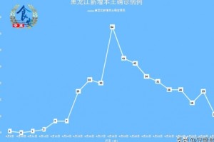 黑龙江省疫情最新动态，今日新增病例持续下降，防控措施稳步调整