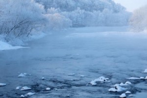 清零之后，黑龙江的静与动