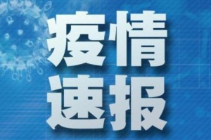 疫情通报，黑龙江新增病例趋稳，南昌调整防控措施引关注