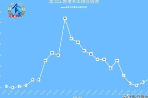 黑龙江省今日疫情动态，新增病例持续下降，防控措施稳步推进