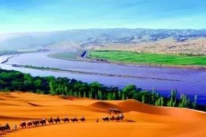 宁夏疫情大考，塞上江南的坚韧与温度