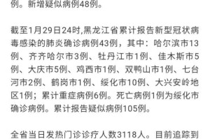 黑龙江省疫情最新动态，精准防控下的挑战与应对