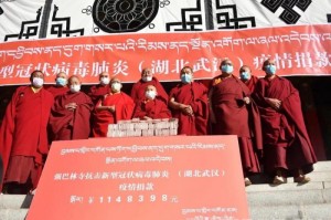 拉萨新型冠状病毒，高原圣城的守护与启示