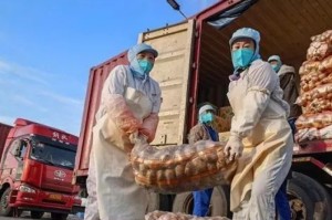 黑龙江疫情，从北国粮仓到抗疫长城的突围之路