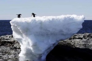 黑龙江疫情，冰封下的坚守与复苏