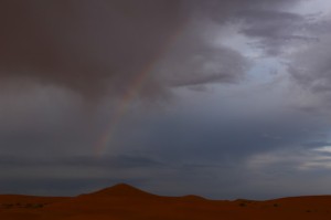 封控下的塞上湖城，银川如何用西北人的坚韧，守护烟火寻常