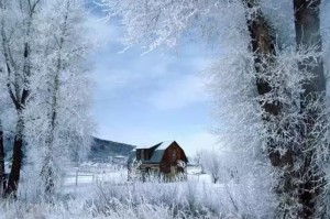 哈尔滨的冬天，冻不住人间暖流