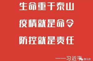 广州公布最新感染疫情，科学防控与精准施策并举，筑牢公共卫生安全防线