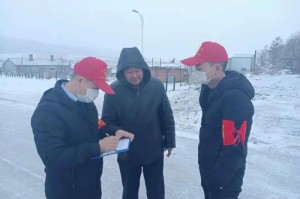 黑龙江省新增病例情况通报，精准防控下的疫情动态与应对