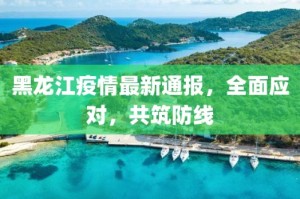 黑龙江省发布最新疫情通报，科学防控，筑牢北疆健康屏障