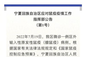 宁夏回族自治区疫情最新情况，精准防控下的动态与应对