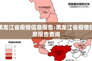 黑龙江省疫情进展情况查询指南，官方渠道与实用方法
