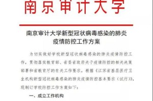 哈尔滨疫情阻击战，精准防控下的坚韧与希望