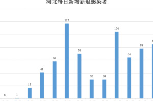 河北石家庄疫情数据背后的坚韧与启示