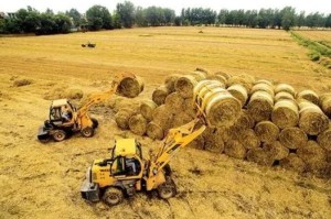 黑龙江省发布疫情防控最新指示，科学精准施策，筑牢北疆健康防线