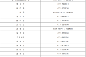南宁疫情查询，高效获取信息，筑牢个人防护网