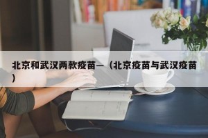 北京和武汉两款疫苗—（北京疫苗与武汉疫苗）
